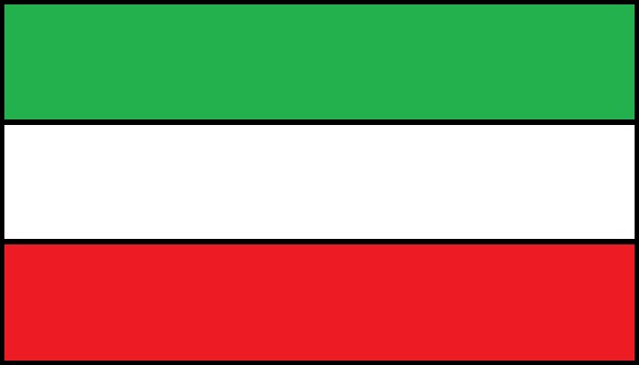 Bandera IEJAGA